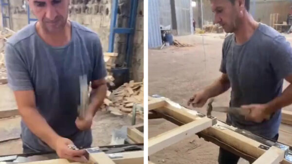 Met deze timmerbaas is je bouwprojectje zo klaar