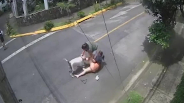 Held neemt pitbull in de houdgreep nadat deze een meisje aanvalt