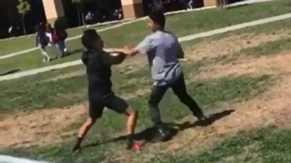 Vechtende koters corrigeren doe je met een kanjerharde bodyslam