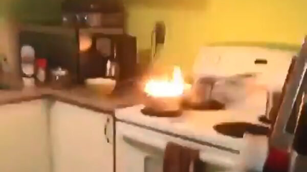 Hyena's zijn niet effectief in het blussen van een brandje in de keuken