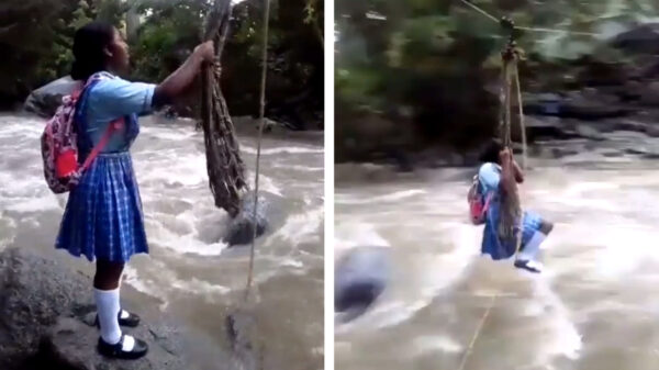 Sommige kinderen willen wel heeeeel graag naar school