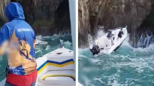 Ga lekker mee vissen they said, it'll be fun they said