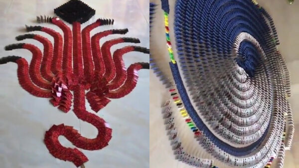 Autismus Maximus: Domino D-Day, maar dan met speelkaarten