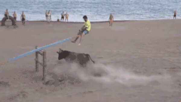 Deze mensen waren nog niet van plan om dood te gaan