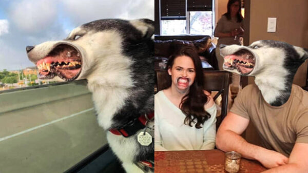 Het bewijs dat creatief Photoshoppen geniale dingen kan opleveren