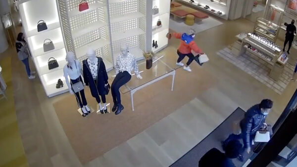 Ontzettende prutserdief doet een dappere poging om via het raam te ontsnappen