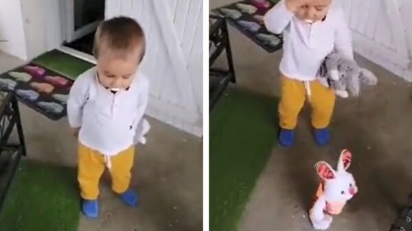 Speelgoedkonijn is misschien toch niet geschikt voor alle leeftijden