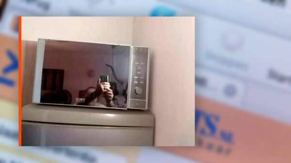 20 onbetaalbaar slechte advertenties die je alleen op Marktplaats tegenkomt