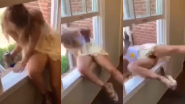 Red Bull blijkt je toch geen vleugels te geven