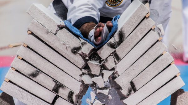Zelfs liggend sloopt deze vechtkunstenaar iedereen de moeder