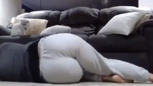 Wat je kat doet als je dood neervalt: helemaal niets