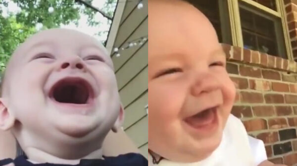 Lachende koters in slow-motion zijn verdomde freaky