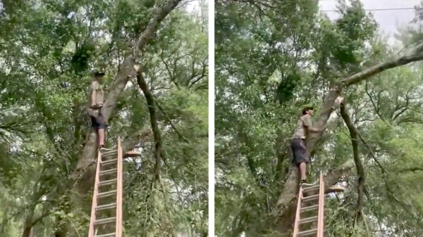 Direct rood! Houthakkeramateur hard onderuit als hij bruut wordt getackeld