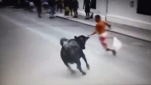 Ook als je voor een stier vlucht moet je goed uitkijken waar je loopt