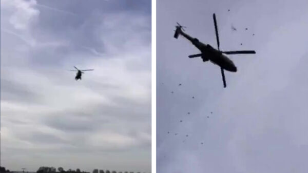 RIP: arm vogeltje moet het helaas afleggen tegen helikopter