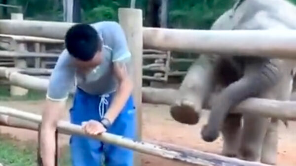 Lewis vriend, laten we weer eens ouderwets naar de kroeg gaan!