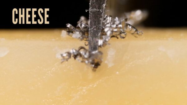 Waarom je een mes na het slijpen altijd moet afspoelen