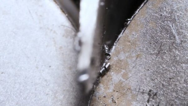 Waarom je een mes na het slijpen altijd moet afspoelen