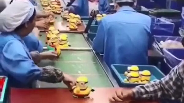 Heeft deze geluksvogel de beste baan ter wereld?