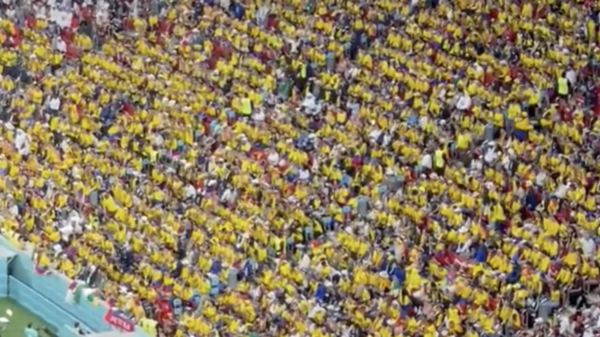 Ecuadorianen tijdens de wedstrijd tegen Qatar: WIJ WILLEN BIER!