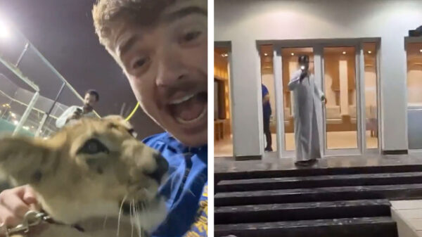 Engelse voetbalfan is op zoek naar bier in Qatar, eindigt bij rijke sjeik met drank en tijgers