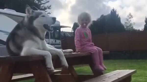 Soms heb je gewoon medelijden met iemand zijn buren