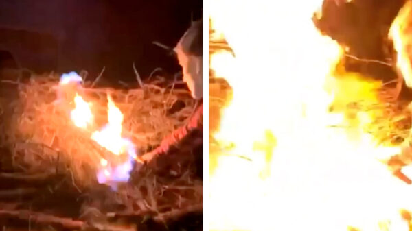 Note to self: gebruik niet teveel benzine bij het aansteken van een vreugdevuur