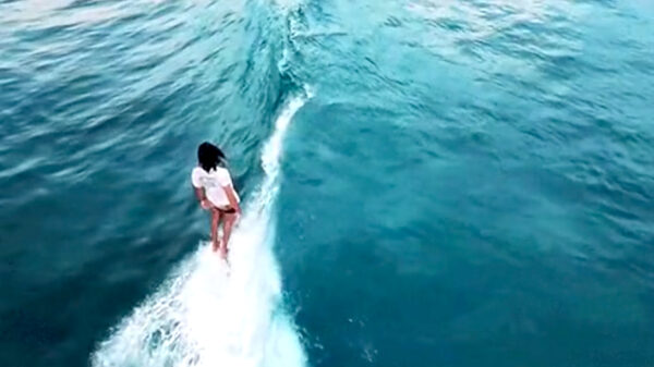 Gifdump: 26 voorbeelden die laten zien dat de natuur supervet is