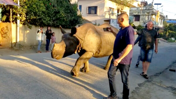 Brb, eerst even m'n neushoorn uitlaten anders zit de hele bank onder