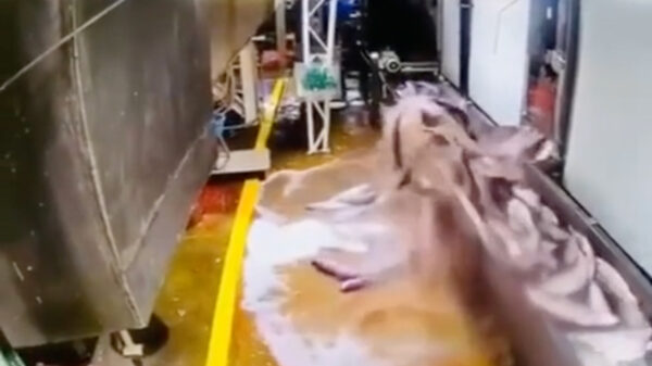 Dit is waarom je nooit op een storing in een visserij zit te wachten