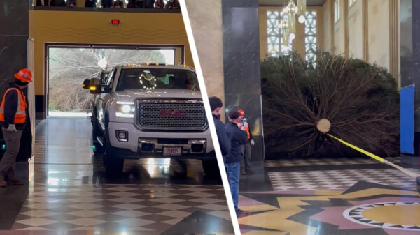 Ook de kerstbomen hebben in Amerika maatje XXXXXXXXXXXL