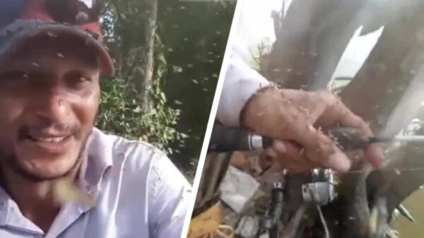 Ga eens vissen zeiden ze, dat is leuk zeiden ze