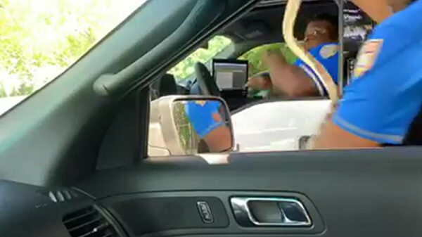 Agent laat zijn collega dankzij een rubber slang in zijn broek poepen