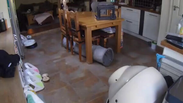 Wat robotstofzuigers eigenlijk doen als je ligt te slapen