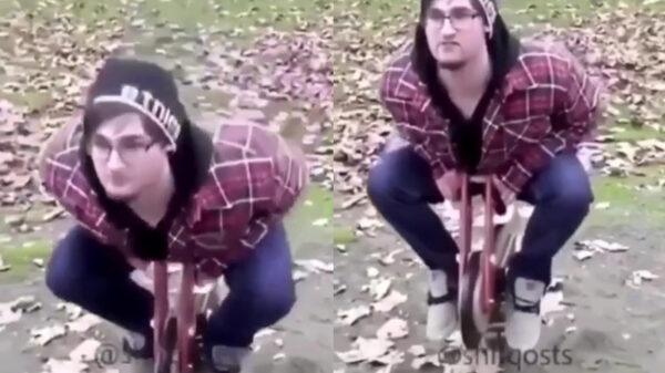 Zelfs een wipkip kan je fikse blauwe ballen opleveren