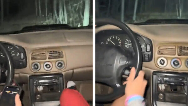 Een stukje door de bossen janken loopt met een boomharde klapperrrr af