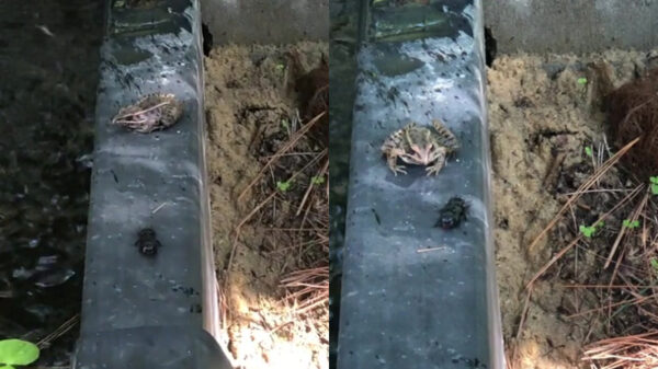 Nee, deze hoef ik niet