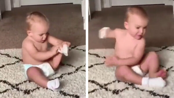 De ochtendroutine van dit chagrijn verloopt niet helemaal vlekkeloos