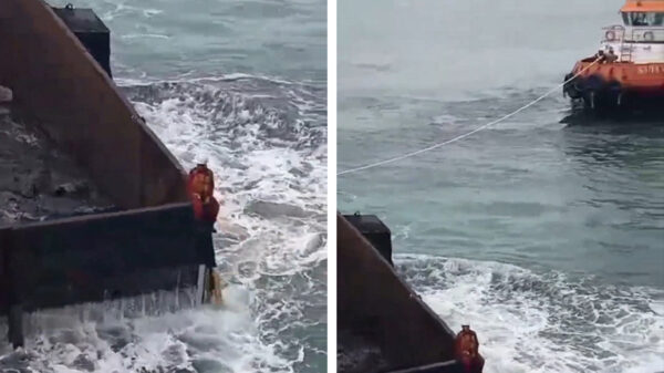 Leven op het randje: fak jullie, lunchtijd is lunchtijd