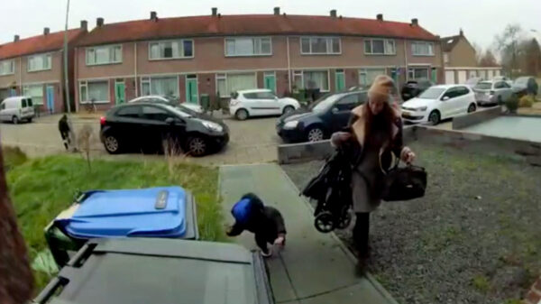 Kleine Piet had zo te zien een iets té gezellig Sinterklaasfeest