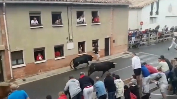 Spanjaard wordt door een stier in zijn reet geprikt en meegesleurd