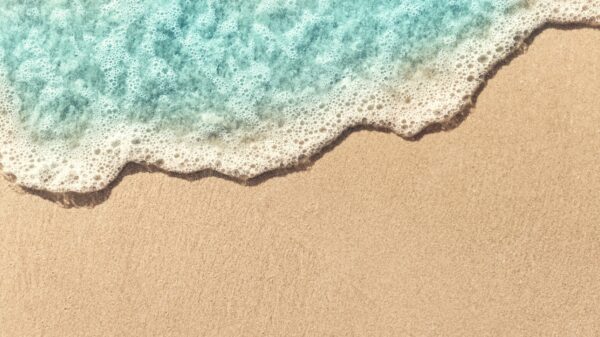 Opeens heb je het: je zet gewoon een tentje op het strand