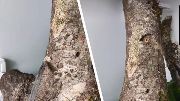 Etenstijd: deze zagen we even niet aankomen