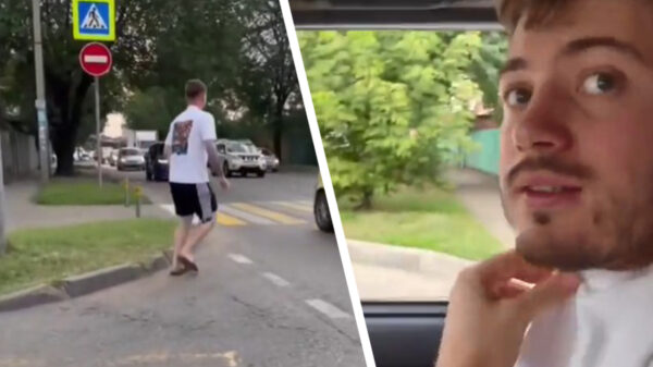 Een druk kruispunt oversteken hoeft helemaal niet zo moeilijk te zijn