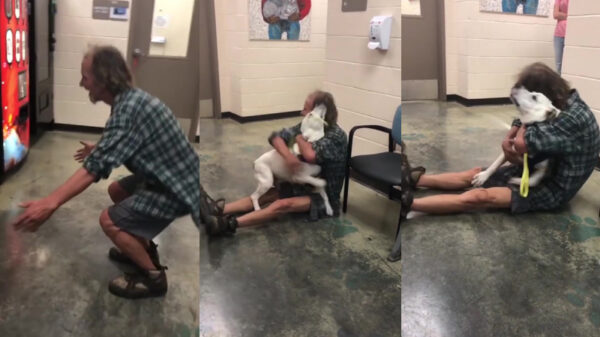 Feelgood: dakloze man na twee weken herenigd met verdwaalde hond