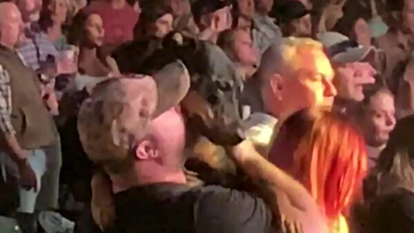 Even met je allerbeste vriend een concertje pakken