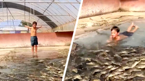 Goedemorgen: we beginnen het weekend met een verfrissende ochtendduik