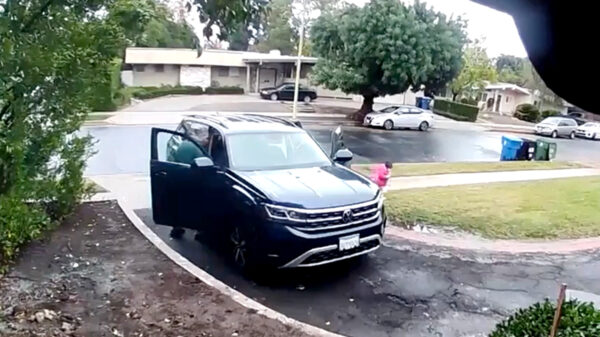 Hongerige coyote probeert een 2-jarig meisje weg te slepen in Los Angeles