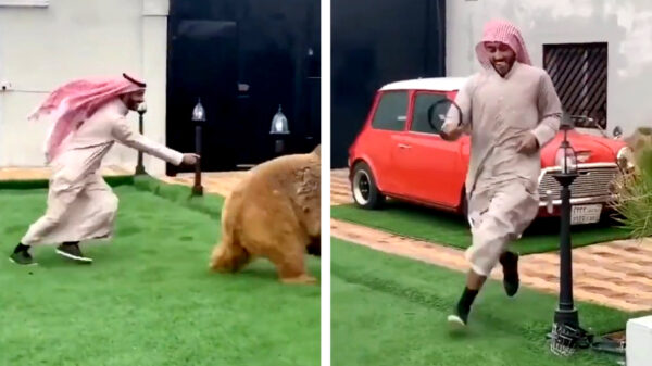 Als er olie uit de kraan stroomt heb je ook een betere waakhond nodig