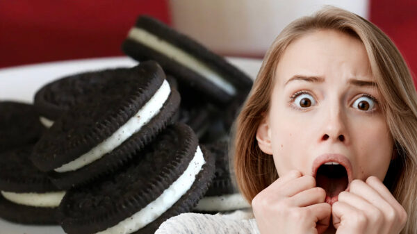 'Cacaofabriek Olam mengt jarenlang giftige ammoniak om Oreo's zwart te maken'